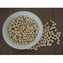 New Crop Chinese Blanched Peanut Kernels